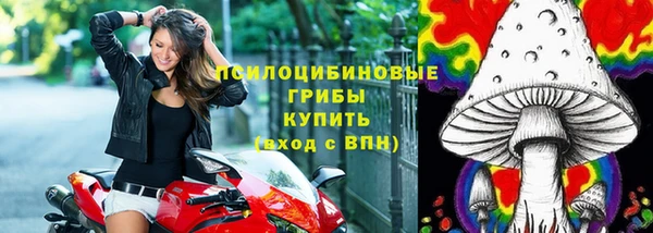 мдпв Балабаново