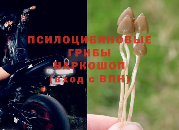 мдпв Балабаново