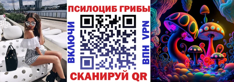 Псилоцибиновые грибы Psilocybe  гидра как зайти  Пересвет 